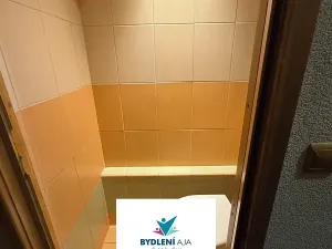 Pronájem bytu 3+1, Krupka, Karla Čapka, 75 m2