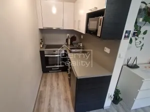 Pronájem bytu 1+kk, Chrudim, Podkopanický mlýn, 30 m2