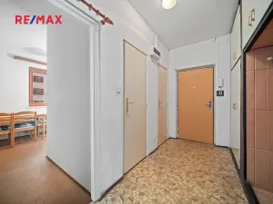 Prodej bytu 2+1, Praha - Žižkov, K lučinám, 50 m2