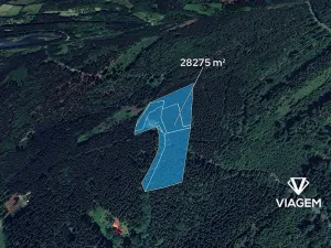 Prodej podílu lesa, Morávka, 4 m2