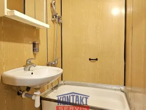 Pronájem bytu 1+1, České Budějovice, Netolická, 33 m2