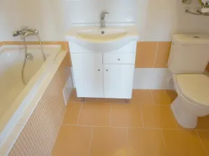 Prodej bytu 1+kk, Litvínov - Horní Litvínov, Podkrušnohorská, 33 m2