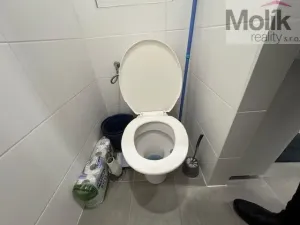 Prodej bytu 2+kk, Teplice - Trnovany, Přítkovská, 47 m2