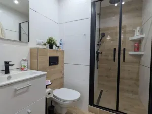 Pronájem bytu 2+1, Přerov - Přerov I-Město, Bratrská, 44 m2