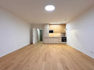 Pronájem bytu 1+kk, Brno, Bratislavská, 44 m2
