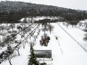 Prodej rodinného domu, Čebín, 160 m2