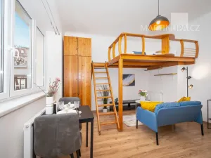 Prodej bytu 1+kk, Praha - Nusle, U družstva Ideál, 25 m2