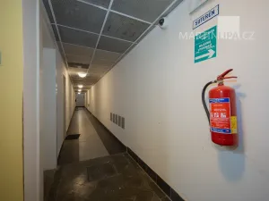 Prodej bytu 1+kk, Praha - Nusle, U družstva Ideál, 25 m2