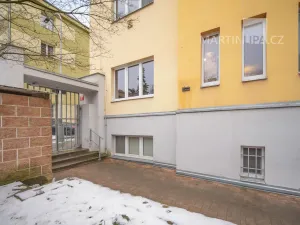 Prodej bytu 1+kk, Praha - Nusle, U družstva Ideál, 25 m2
