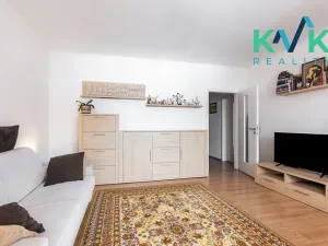 Prodej bytu 1+1, Karlovy Vary, Spálená, 46 m2