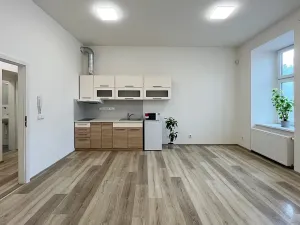 Pronájem bytu 1+kk, Brno, Lidická, 36 m2