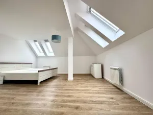 Pronájem bytu 1+kk, Praha - Nové Město, Biskupská, 49 m2