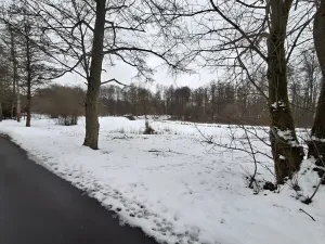 Prodej pozemku, Odrava, 5732 m2