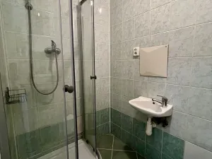 Pronájem bytu 1+kk, Ostrava - Hrabůvka, Krakovská, 21 m2