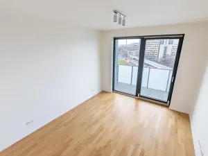 Prodej bytu 2+kk, Praha - Žižkov, U Viktorie, 63 m2