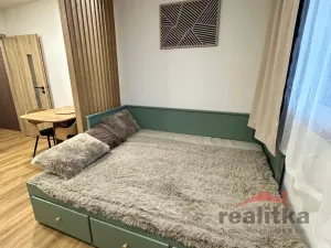 Pronájem bytu 1+kk, Opava - Kateřinky, Grudova, 21 m2