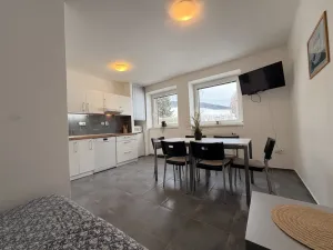 Prodej apartmánu, Staré Město - Stříbrnice, 56 m2
