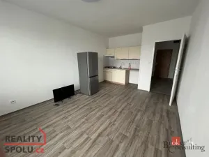 Pronájem bytu 1+kk, Rychnov nad Kněžnou, 28 m2