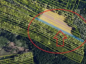 Prodej podílu lesa, Lesonice, 814 m2