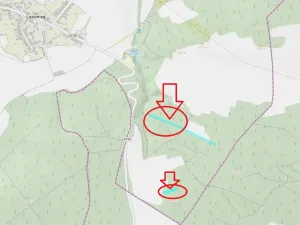 Prodej podílu lesa, Lesonice, 1518 m2