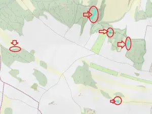 Prodej lesa, Ludmírov, 9585 m2