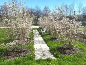 Prodej rodinného domu, Šťáhlavy, K Bažantnici, 160 m2