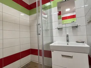 Pronájem bytu 1+kk, Hradec Králové, Jungmannova, 30 m2