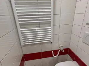 Pronájem bytu 1+kk, Hradec Králové, Jungmannova, 30 m2