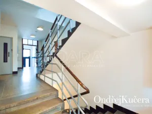 Pronájem bytu 1+kk, Praha - Nusle, K podjezdu, 29 m2