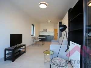 Pronájem bytu 1+kk, Praha - Karlín, U Mlýnského kanálu, 41 m2