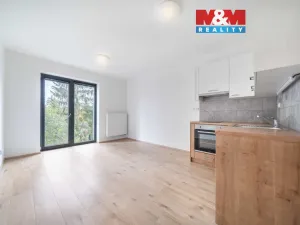 Pronájem bytu 1+kk, Třemošná, Školní, 32 m2