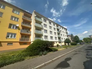 Pronájem bytu 1+kk, Cheb, Do Zátiší, 20 m2