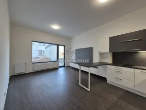 Pronájem bytu 2+kk, Brno, 54 m2