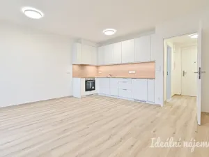 Pronájem bytu 1+kk, Brno, Jižní, 35 m2