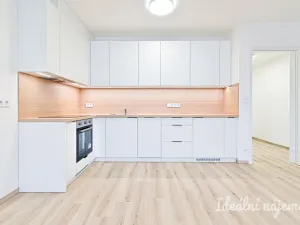Pronájem bytu 1+kk, Brno, Jižní, 35 m2