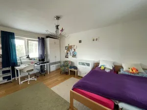 Prodej rodinného domu, Střelice, Smetanova, 220 m2