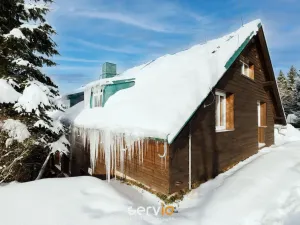 Prodej ubytování, Říčky v Orlických horách, 500 m2