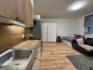 Pronájem bytu 1+kk, Olomouc, Lipenská, 32 m2