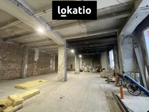 Pronájem skladu, Olomouc, 576 m2