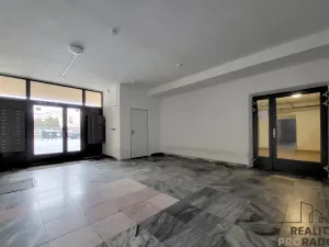 Prodej bytu 3+1, Znojmo, Mičurinova, 70 m2