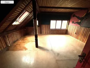 Prodej chaty, Teplá - Staré Sedlo, 400 m2