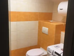 Pronájem bytu 2+kk, Rybniště, 45 m2