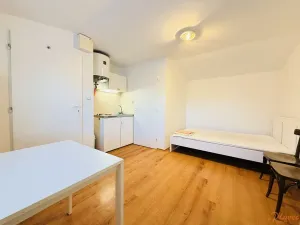 Pronájem bytu 1+kk, Praha - Suchdol, Nad dolíky, 16 m2