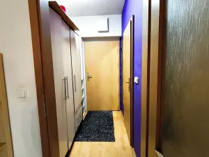 Pronájem bytu 1+kk, Plzeň, Květná, 32 m2