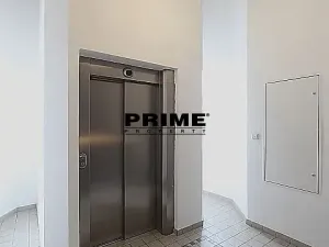 Pronájem bytu 2+kk, Praha - Vinohrady, Mánesova, 91 m2