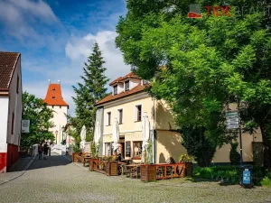 Prodej bytu 3+kk, Beroun, Na Máchovně, 195 m2