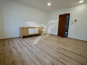 Pronájem bytu 1+1, Město Touškov, Čemínská, 38 m2