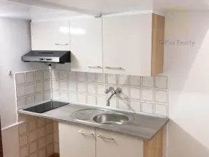 Pronájem bytu 1+kk, Praha - Střešovice, Nad hradním vodojemem, 15 m2