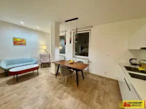 Pronájem bytu 1+kk, Brno - Brno-město, 50 m2