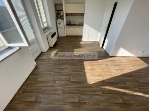 Pronájem bytu 1+kk, Plzeň - Doubravka, Nad Týncem, 28 m2